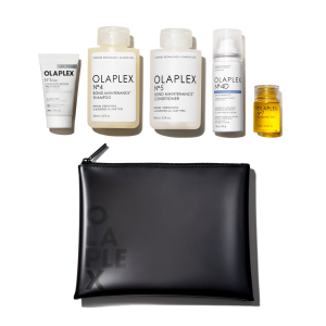 THE HEALTHY HAIR TRAVEL SET